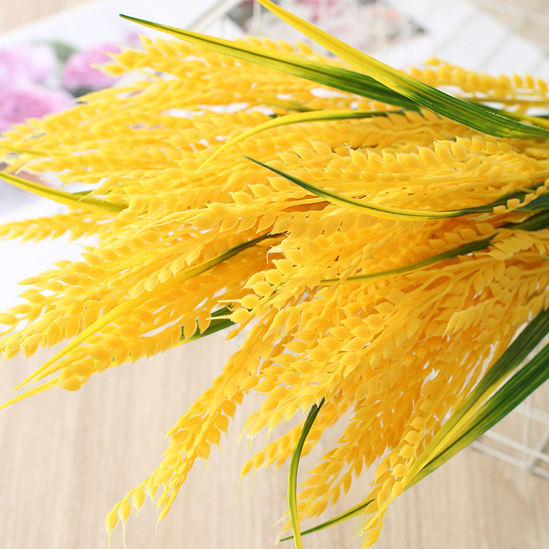 硅膠是食品級的嗎？